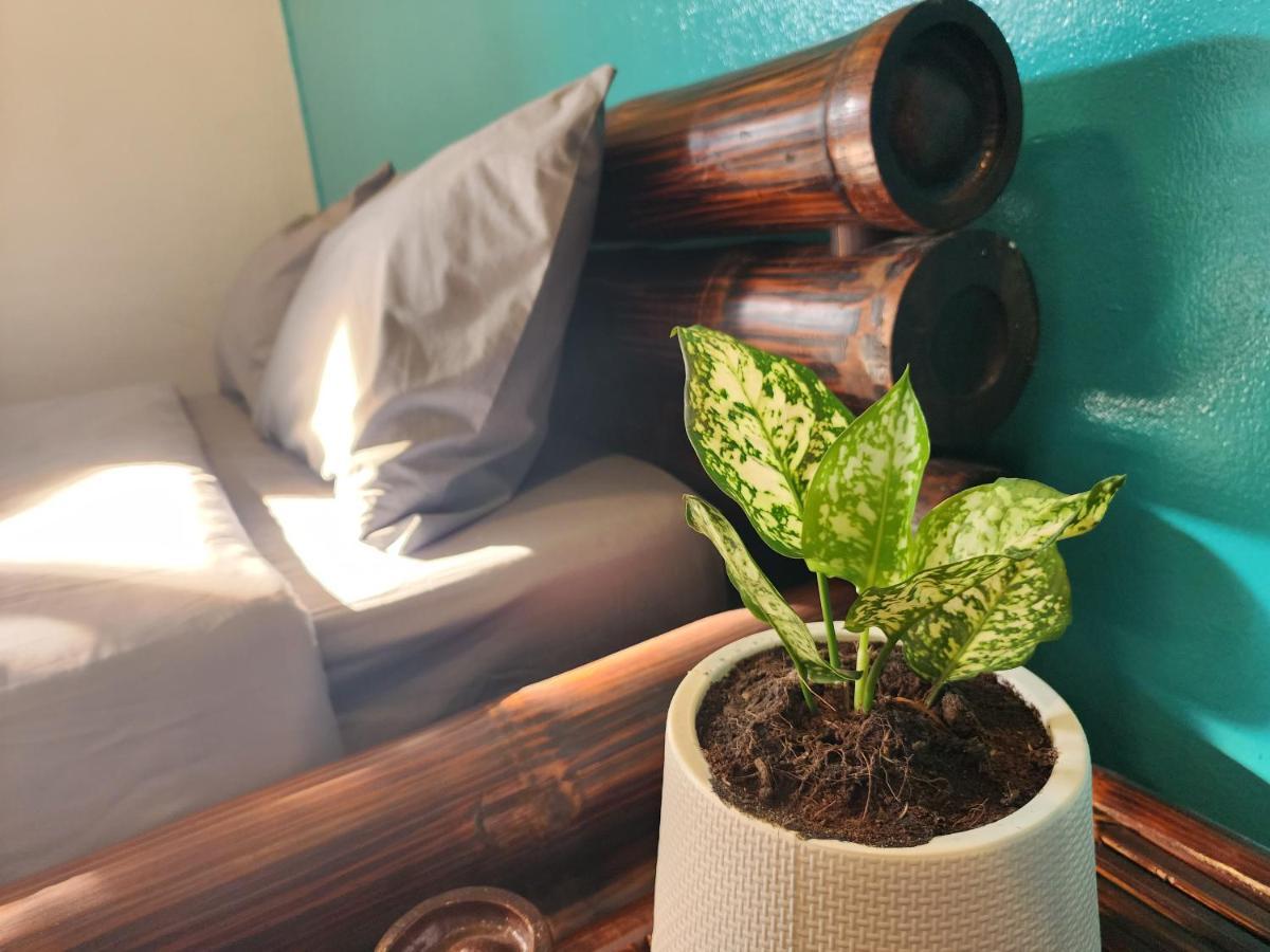 Blue Moon House - A Budget Hostel For Easy Travellers شيانغ ماي المظهر الخارجي الصورة